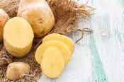 Pommes de terre belle saison